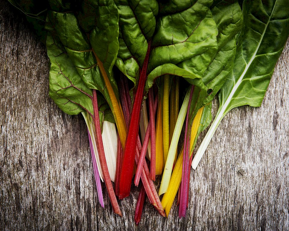 Aelection of vibrantly coloured chard